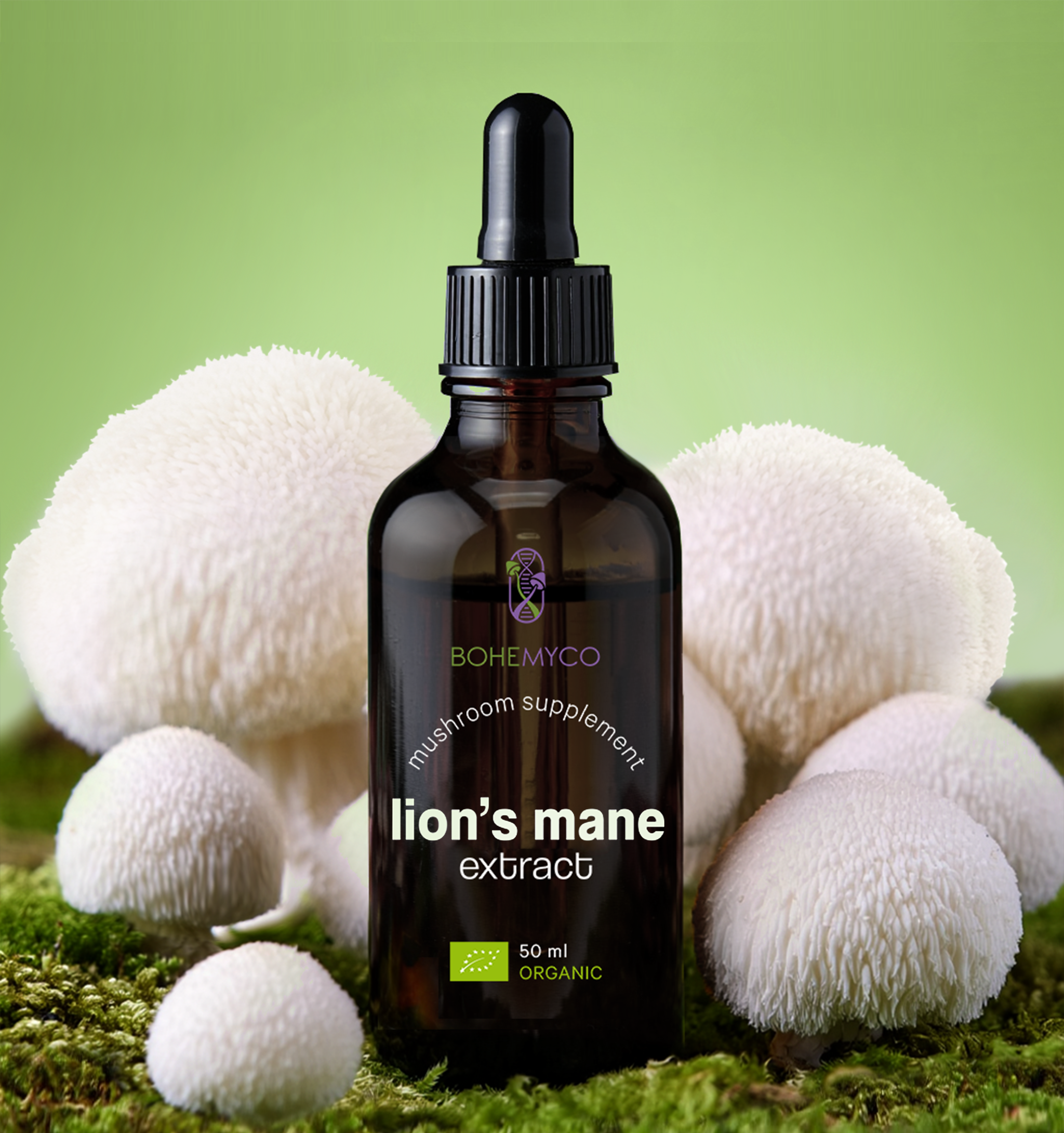 LION’S MANE BIO – Triple Extract Tincture