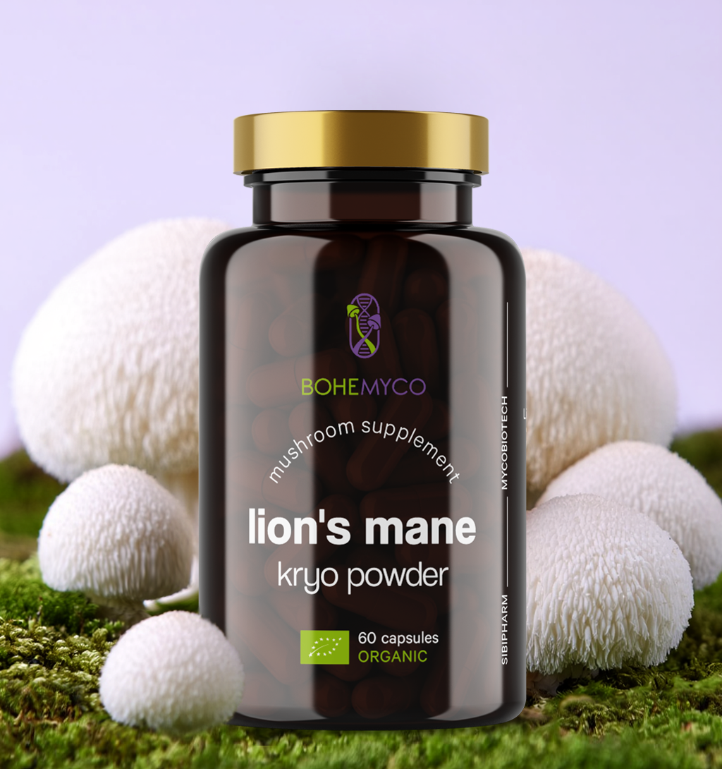LION’S MANE BIO – Kryo Powder