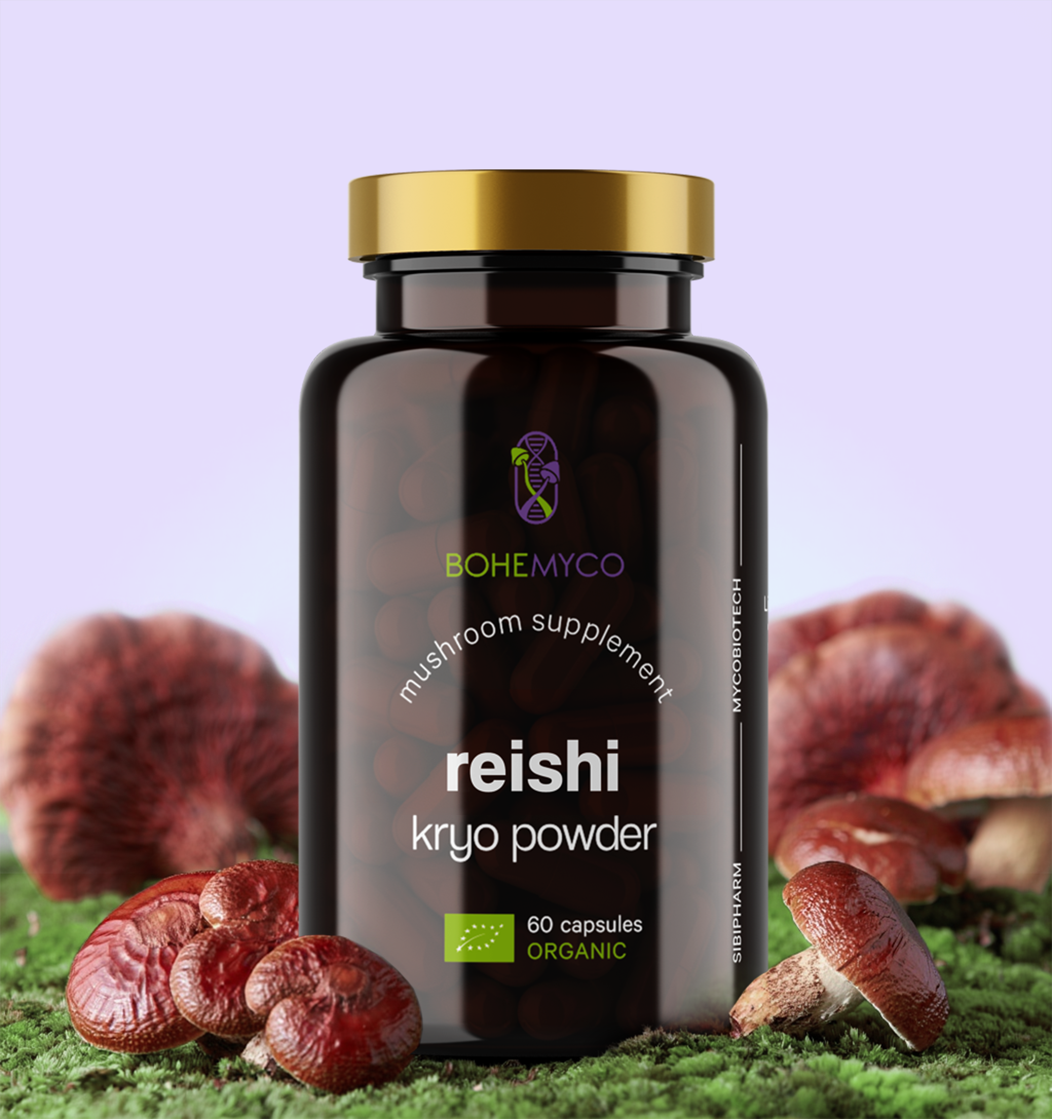 REISHI BIO – Kryo Powder