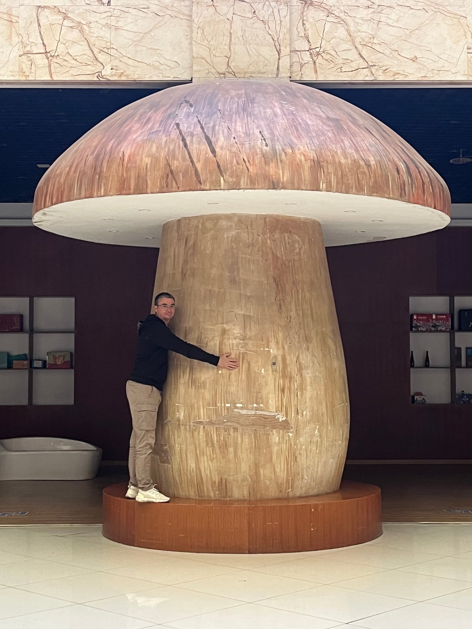 Nature’s Innovation: Medicinal Mushrooms