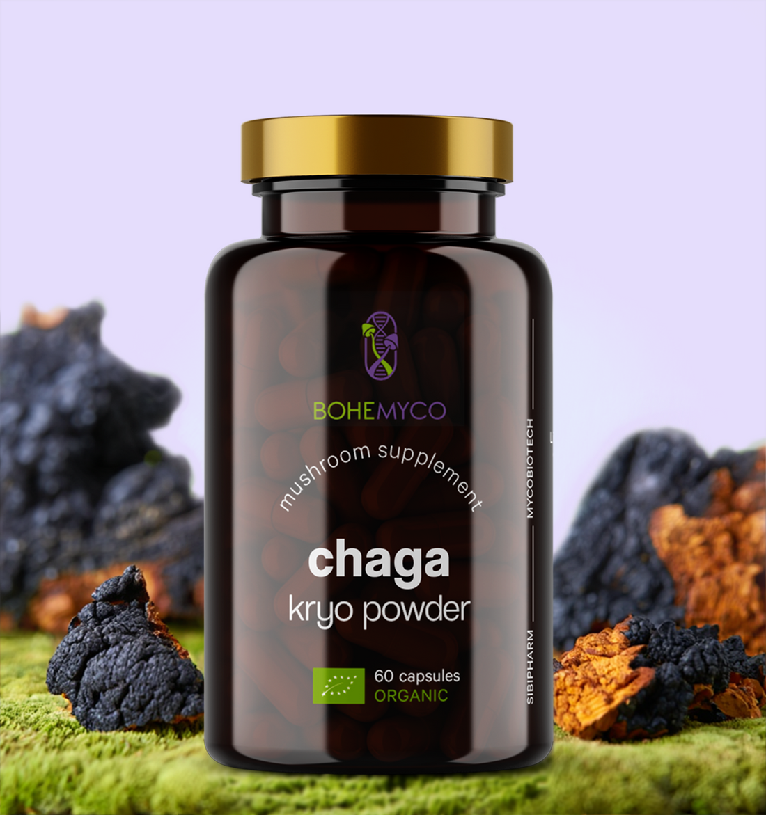 CHAGA BIO – Kryo Powder