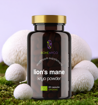 LION’S MANE BIO – Kryo Powder