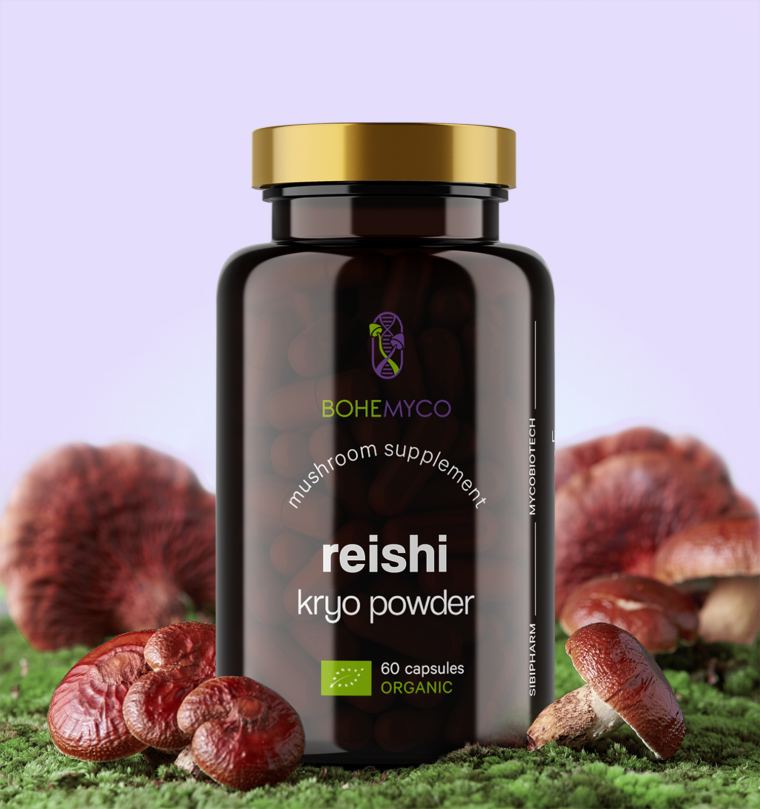 REISHI BIO – Kryo Powder