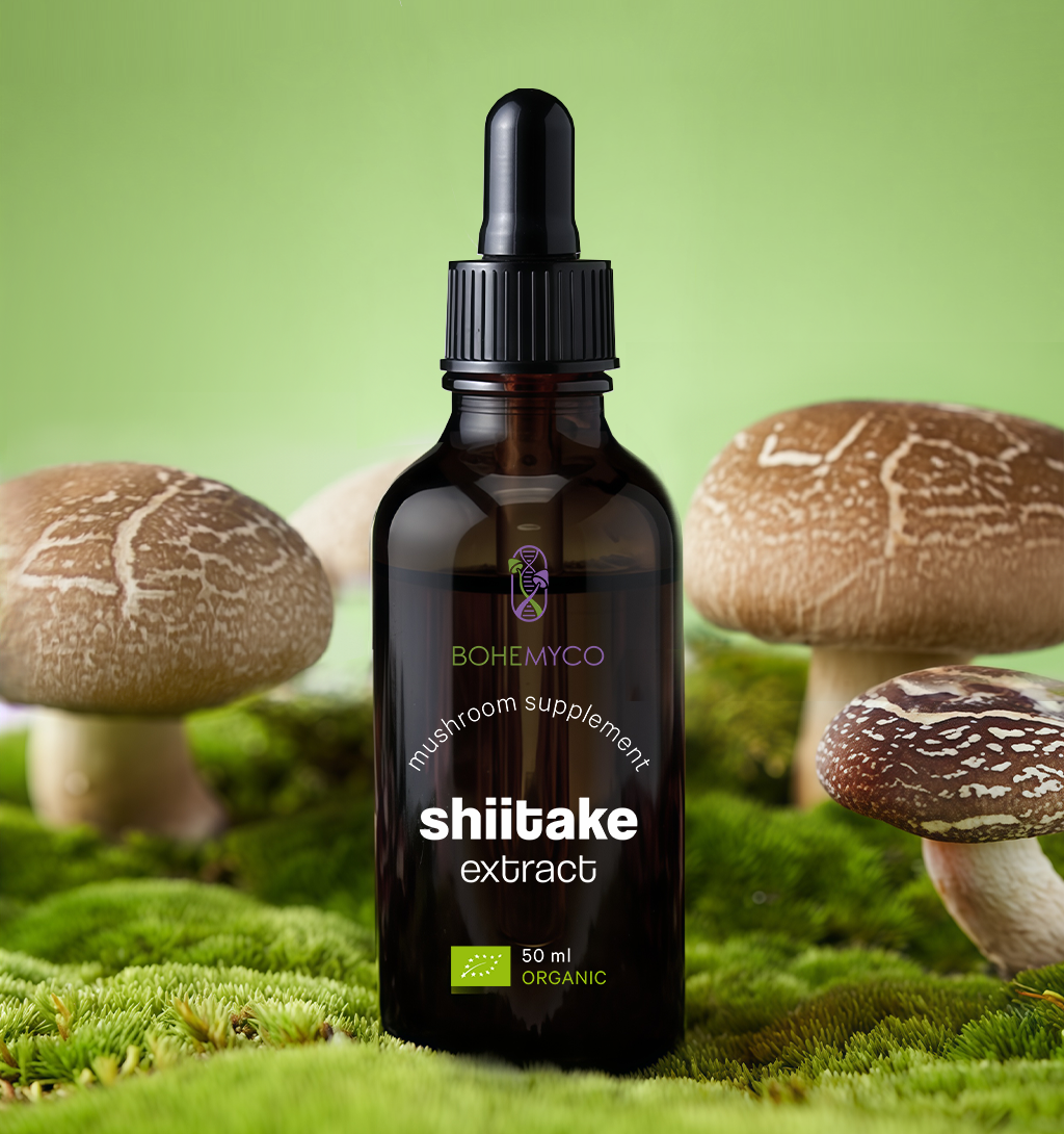 SHIITAKE BIO – Triple Extract Tincture