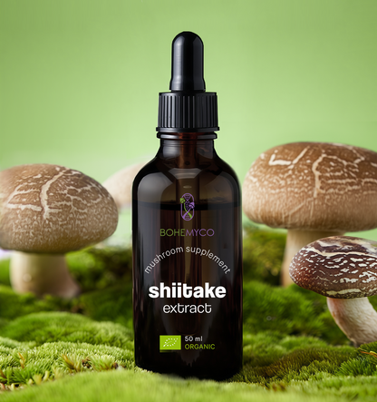 SHIITAKE BIO – Triple Extract Tincture