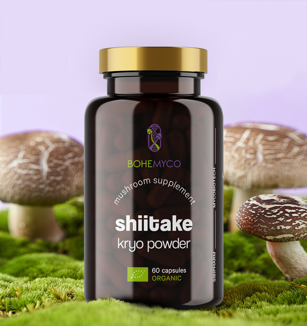 SHIITAKE BIO – Kryo Powder